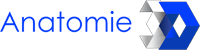 Logo Anatomie3D Lyon